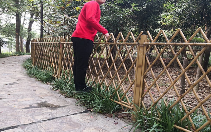 雙色枯黃仿竹籬笆